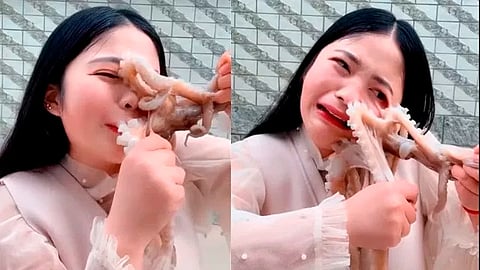 El pulpo se pegó a la cara de la chica con sus tentáculos (Fotograma: YouTube)