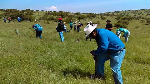 Reforestarán la tenencia Morelos (Foto: Gobierno de México)