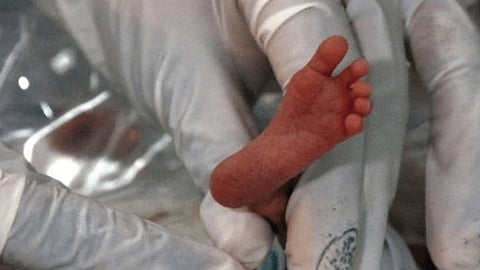 El estado de salud de la pequeña es óptimo (Foto: Ilustrativa)