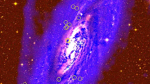 Imagen en falso color de M106. Los círculos amarillos resaltan los cúmulos globulares observados (Foto: Cortesía)