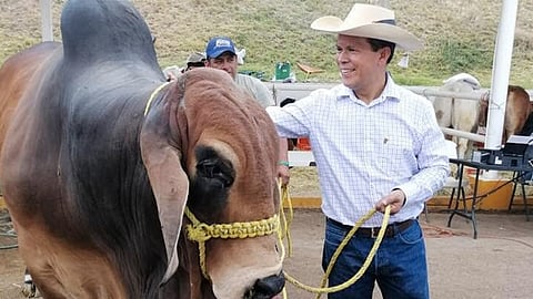 Se vendieron más de 362 ejemplares en la Expo Fiesta Ganadera 2019 con una derrama cercana a los 15 millones de pesos (Foto: Cortesía)