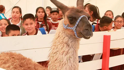 (Foto: Cortesía)