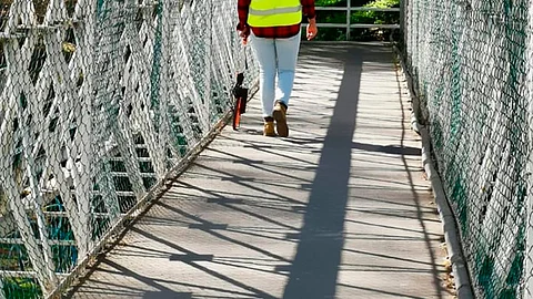 En análisis, sitios dónde podrán ser más funcionales (Foto Facebook: Secretaría de Movilidad y Espacio Público)