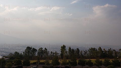 “Todas las huertas de aguacate localizadas al sur del municipio son un tema grave" (Foto: MiMorelia.com)