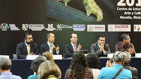 El estudio de los insectos, fundamental en el reto de una agricultura y actividad forestal sustentable, coinciden ICTI y Sedrua (Foto: Cortesía)