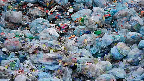 Requiere tiempo la revisión de las iniciativas enfocadas al mismo tema y la reunión con los representantes de sectores involucrados (Foto: Gobierno de México)