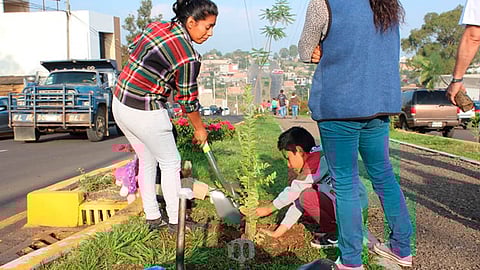 Invitó a la ciudadanía a que se acerquen a las instalaciones de la secretaría para que la ciudadanía puedan plantar árboles de ornato en el patio de su casa o en los jardines de las colonias
(Foto Facebook: Ricardo Luna García)