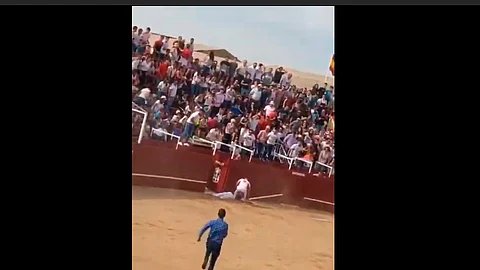 El suceso se ha producido durante las fiestas del toro enmaromado de Benavente, que el próximo miércoles vivirán su día grande
(Foto: Captura de pantalla)