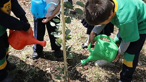 Cerca de 10 mil niñas y niños sembraron y adoptaron sus árboles, esto para cuidar su crecimiento y conservación (Foto Cortesía)
