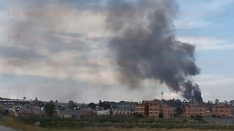 Los hechos se registraron en el corralón municipal (Foto: MiMorelia.com)