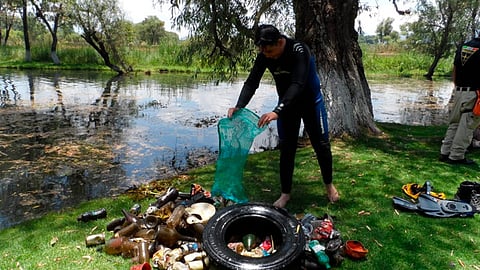 La Mintzita se ve afectado por procesos de degradación, como se evidencia en la aparición de vegetación secundaria (Foto: Cortesía)