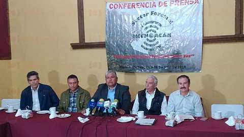 Felipe Piñón, representante de Ejidos, pidió a López Obrador atender la situación para que no se paralicen en próximos meses el sector forestal (Foto: Guadalupe Martínez)