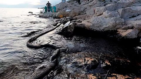 El incidente se produjo en la terminal de isla Guarello (Foto: Twitter @PatagoniaNews)