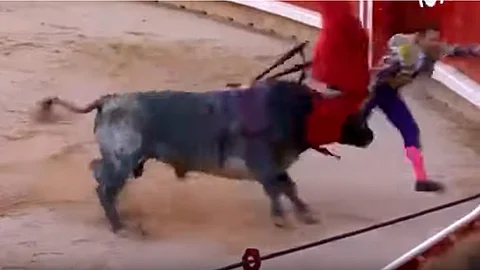 (Fotograma: Videos El Muletazo)
