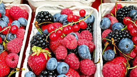 Se exportan 364 mil toneladas de estos frutos a más de 35 países del mundo (Foto Cortesía)