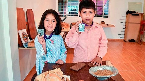 Les preocupa la tala de árboles (Foto: Gobierno de Ecatepec)