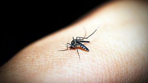 Michoacán casi alcanza los 6 mil casos confirmados de dengue: Salud federal