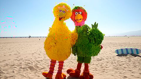 Todo el viaje de Abelardo fue tuiteado en su cuenta (Foto: @soy_abelardo)