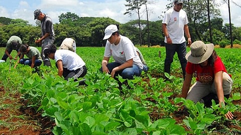 Gracias a estos recursos se pudieron atender a grupos de productores del campo (Foto Cortesía)