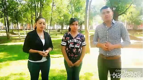 Según la joven, el lirio acuático es una plaga que se puede transformar en algo útil (foto: captura)