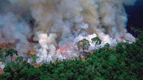 Esta alerta coincide tras el anuncio de que el humo del incendio forestal se dirige a la región amazónica peruana (Foto: @manaoficial)