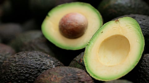 Melgoza Velázquez agregó que en general como Gobierno del Estado se atiende el tema de aguacate a través de otras dependencias (Foto: gob.mx)