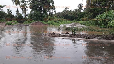 Se reportaron 300 familias en Lázaro Cárdenas y las 350 restantes en los dos municipios tanto Coahuayana como Aquila (Foto: RED 113)