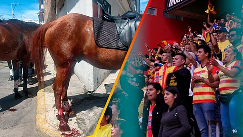 Los caballos se estresaron con el ruido y corrieron
(Foto: Especial)