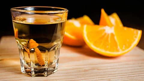 Participarán más de 90 maestros cerveceros y mezcaleros (Foto: gob.mx)