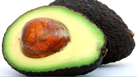 Recibió el certificado la organización Guinness World Records (Foto: Pixabay)