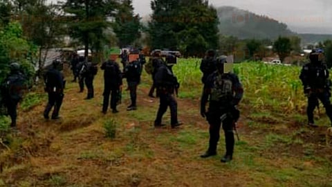 Se piensa que el ocupante o los pasajeros de la Volkswagen al quedar herido o lesionados por sus propios medios huyeron para solicitar ayuda médica (Foto: RED113)