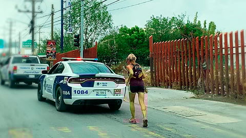 La trayectoria que sigue la mariposa monarca desde Canadá, pasando por Estados Unidos para llegar a Méxic(Foto: Facebook Yessica Lopez)