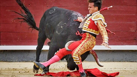 Esto durante una corrida en la la plaza de toros de Madrid (Foto: Twitter @LasVentas)