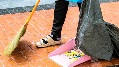 Se expuso que las féminas representan el 75.1% en términos del valor económico en este estudio (Foto: Inegi)