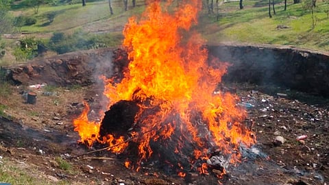 Se incineraron 328 kilos de Mariguana (Foto: Cortesía)