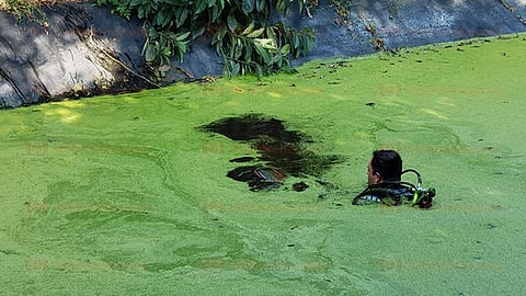 Los ciudadanos les informaron que el menor se había sumergido en el agua (Foto: RED 113)