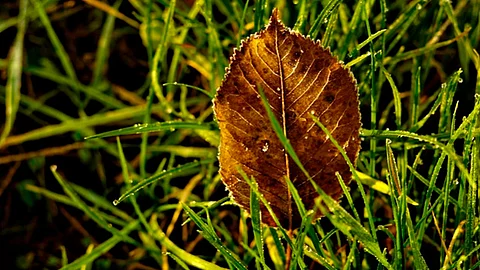 Ante bajas temperaturas, Protección Civil Morelia invita a la prevención (Foto: Pixabay)