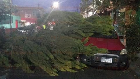 No hubo heridos por estos hechos (Foto: RED 113)