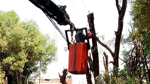Su inclinación representen un peligro para los transeúntes o personas que circulen en sus vehículos (Foto: Cortesía)