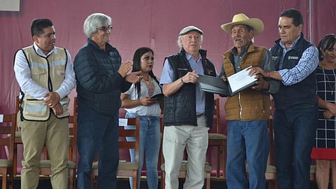 La comunidad es la más exitosa en manejo forestal en México (Foto especial)