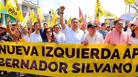 Ser diputada y secretaria de un partido a la vez, evita cumplir cabalmente en ambas funciones
(Foto: Cortesía)