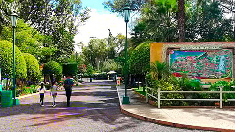 ¡No te dejes engañar! Zoo de Morelia advierte sobre cuidadores de autos externos