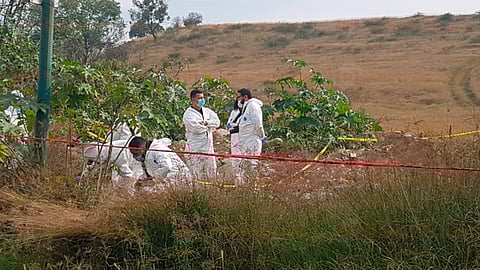 Unas personas que salieron a correr por el lugar fueron las que hallaron al ahora occiso (Foto: RED113)