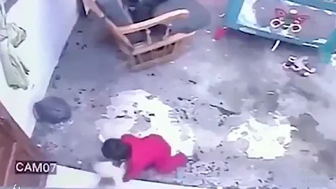 El video se ha hecho viral en redes
(Foto: Captura de pantalla)