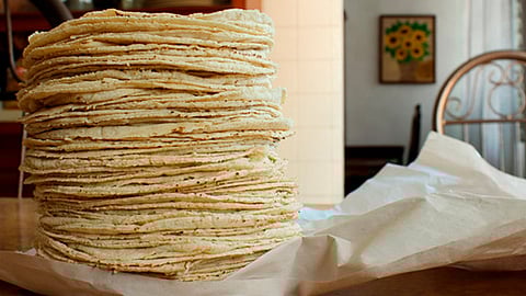 En una tonelada de maíz, se obtienen más de 600 kilos de tortilla  (Foto: gob.mx)