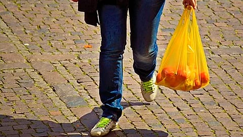 Se prohibió el uso de bolsas y contenedores de plástico en establecimientos mercantiles e industriales (Foto: Pixabay)