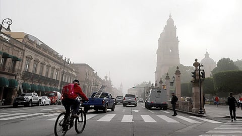 La SSM registra un incremento en las consultas por dermatitis y sarna (Foto: cortesía)