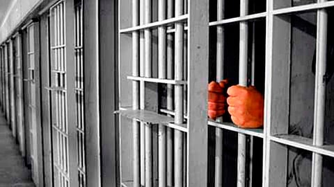 Las bancada del Partido de la Revolución Democrática PRD y de Acción Nacional (PAN), votaron en contra de la Ley (Foto: Archivo)