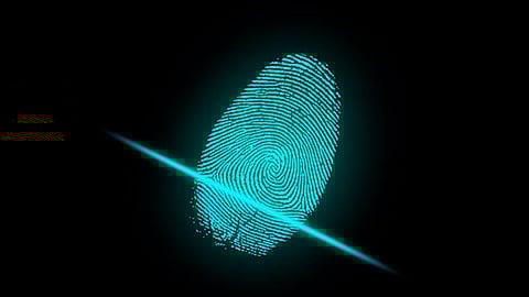 El comisionado presidente pidió a las autoridades federales no hacer un "experimento", porque el asunto es complejo y mejor analizarlo de fondo
(Foto: pixabay)