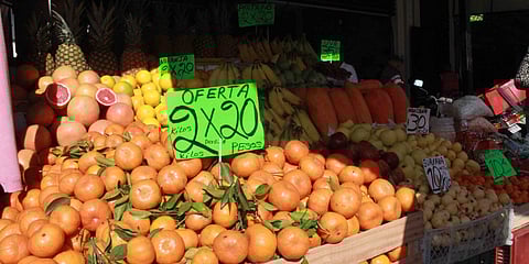 Jitomate, cebolla, chile, aguacate, frijol, maíz, avena, papa, frutas y hortalizas serían las más afectadas (Foto: gob.mx)